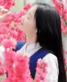 微光，倾城的头像