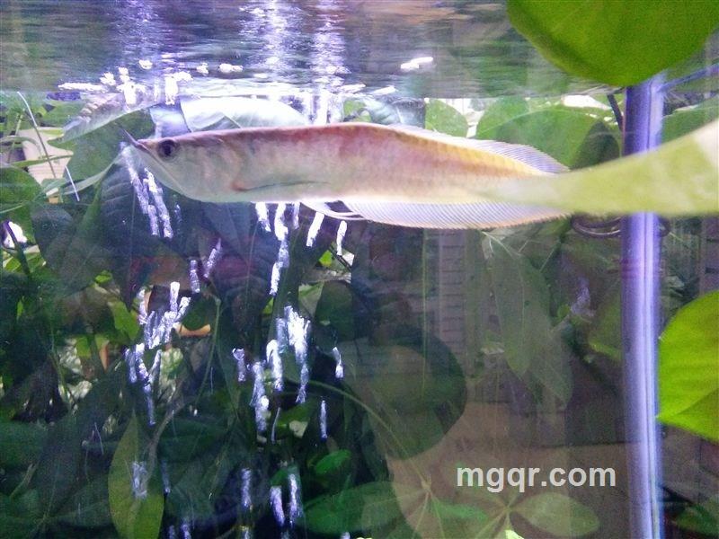 寻找快乐的头像