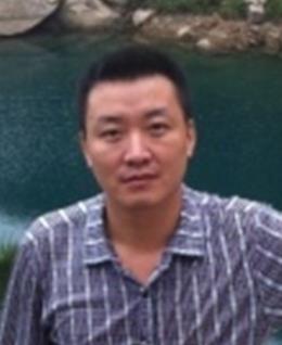 春天的梧桐树的头像