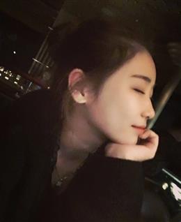 迷路的鹿的头像