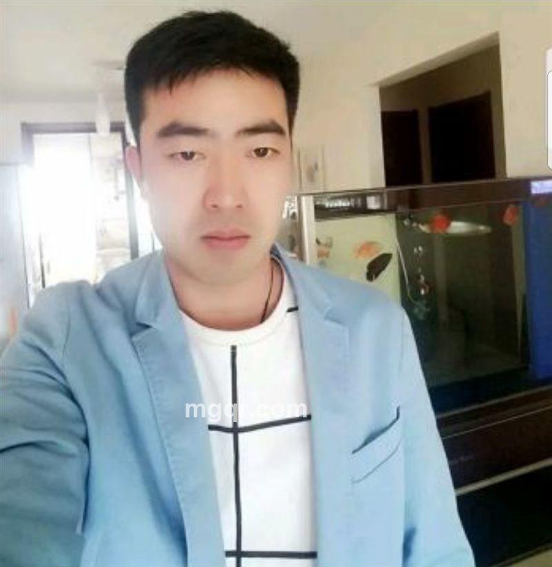 小毛驴的头像