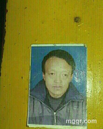 鴻運當頭的头像