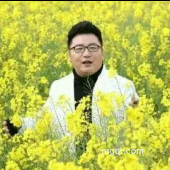 会员4469027的头像