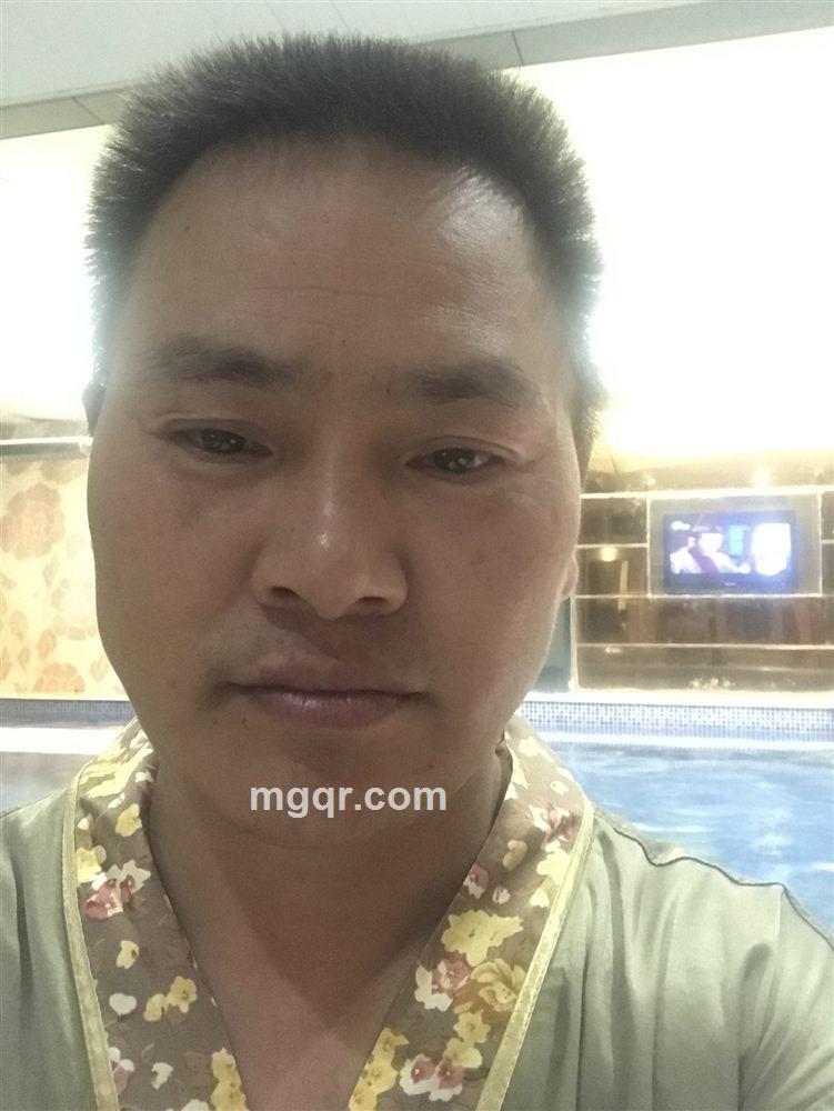 温柔的港湾的头像