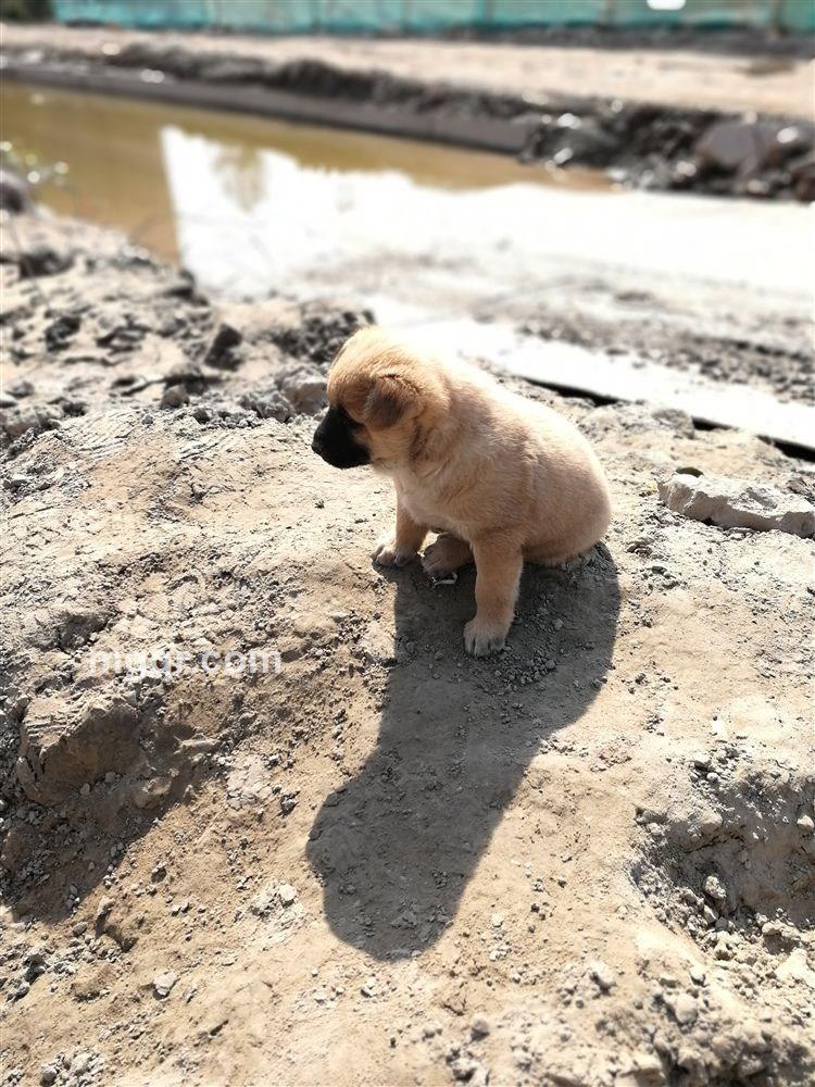 天空之城123的头像