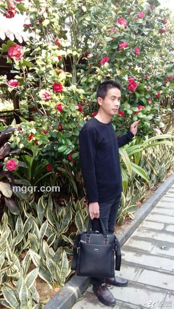 烟雨江南的头像