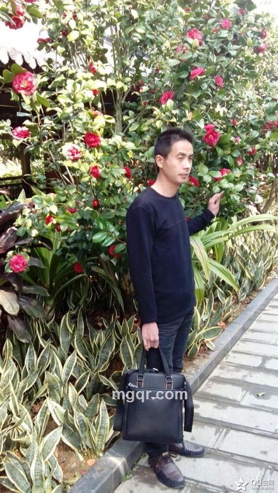 烟雨江南的头像