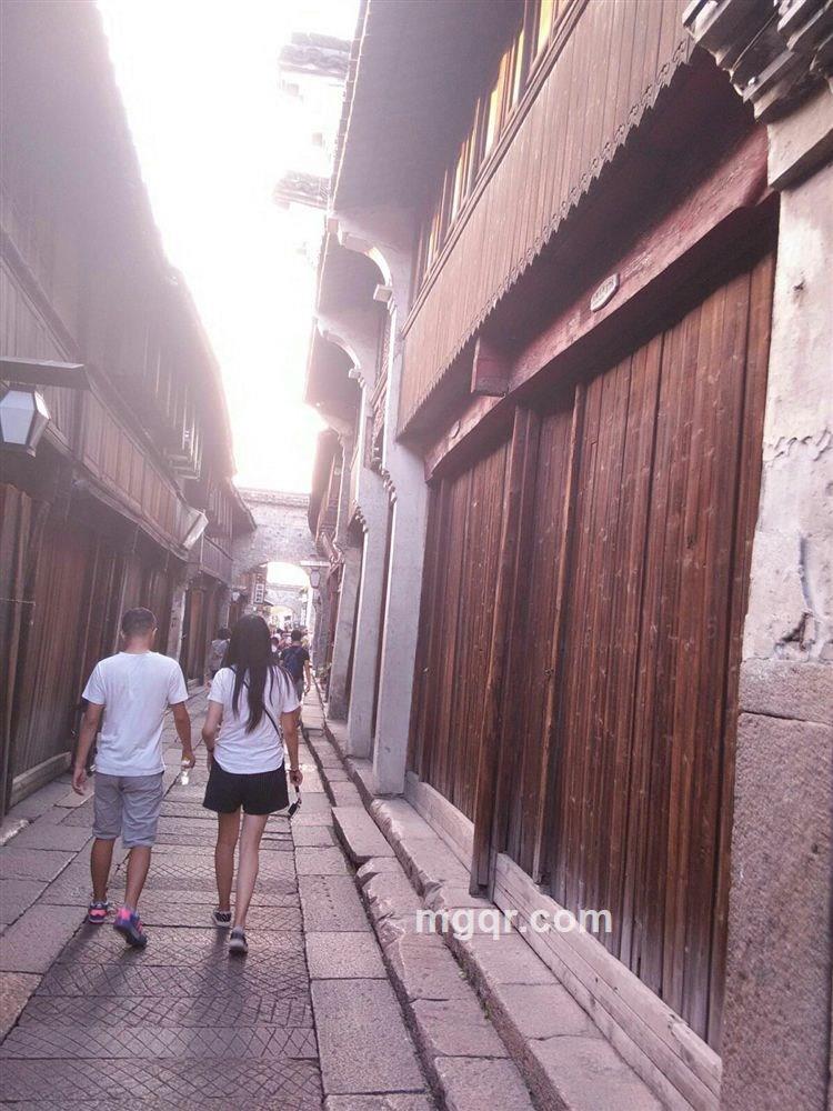 沙漠绿洲的头像