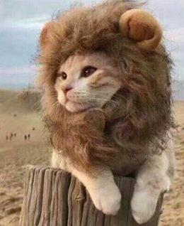 从未止步123的头像