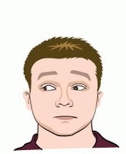 光头小王子的头像