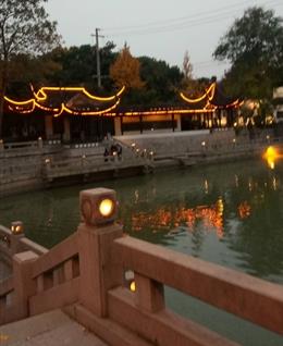 孤单的我们你还好吗的头像