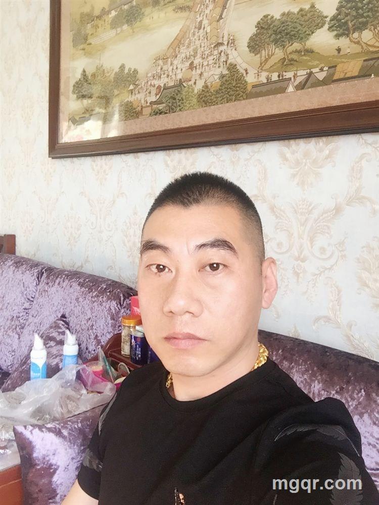 疯狂的小蜜蜂的头像