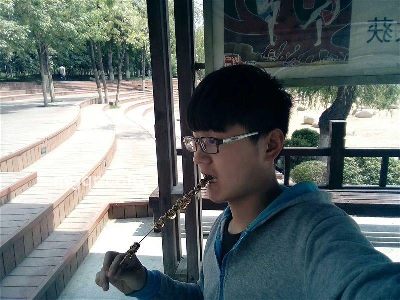 累不死的牛的头像