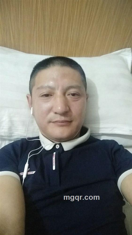 叶落归根的头像