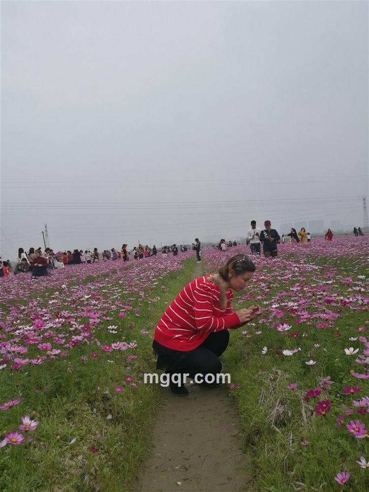 谈雅云彩的头像