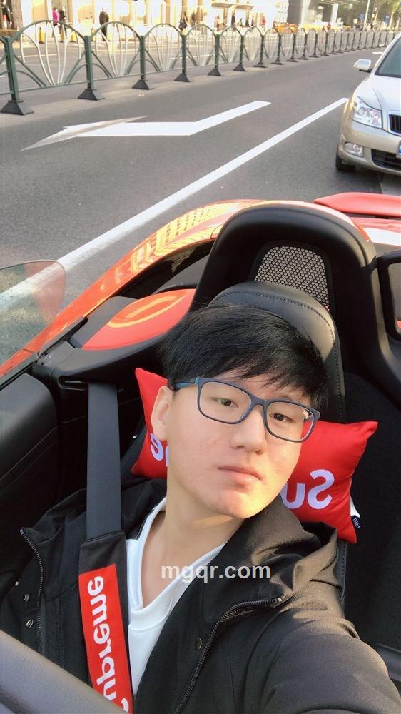 异国的鸟的头像