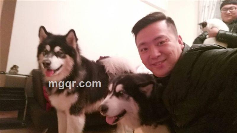 爱在无人的头像