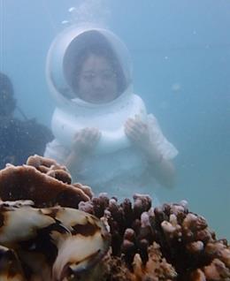 晨晨12356的头像