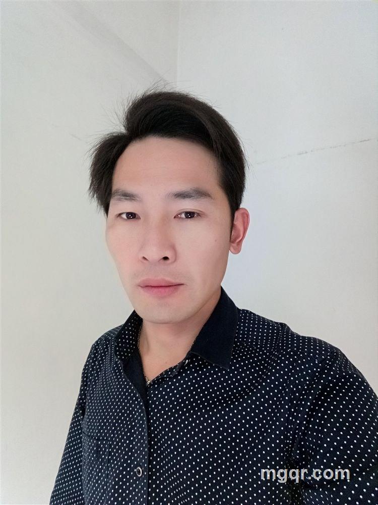 呆萌大白熊的头像