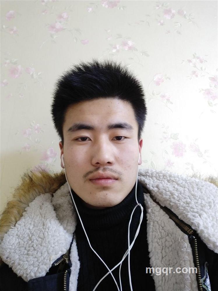 古丰弓的头像