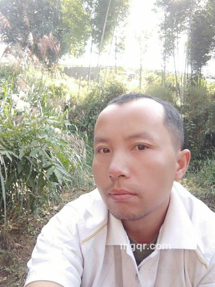 星镇玲珑宝塔的头像