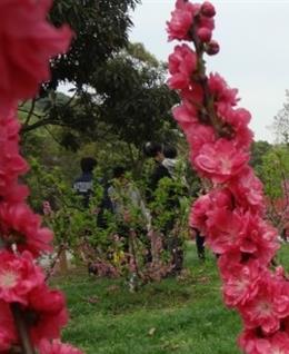 拾夢勼彵的头像