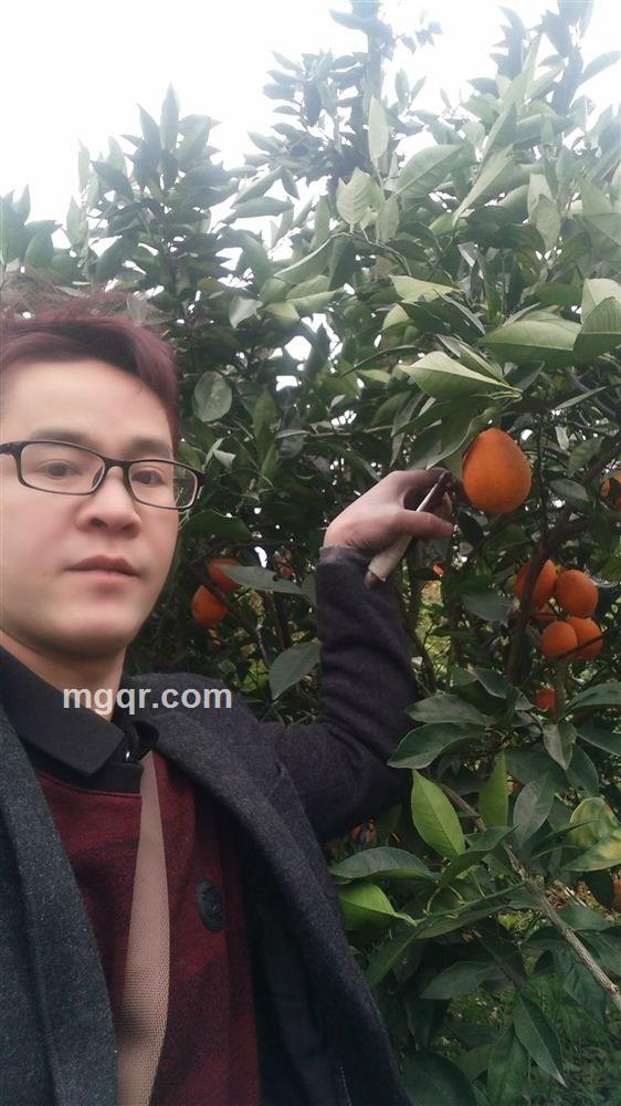 独狼的头像