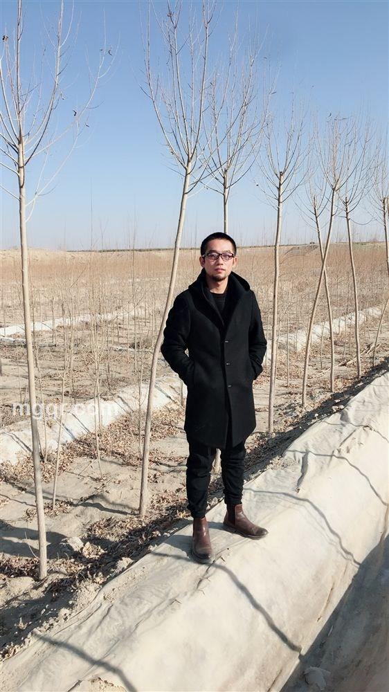 杨南
