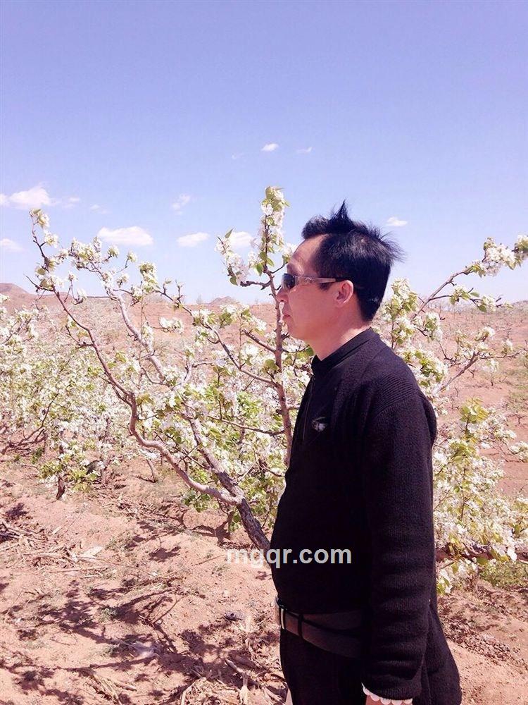 在水一方的头像