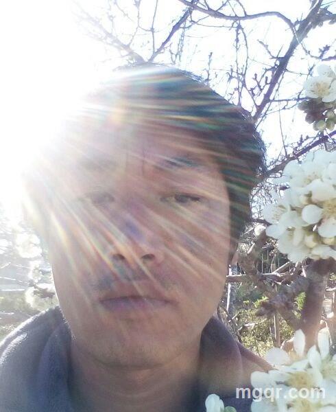 孤独长枪的头像