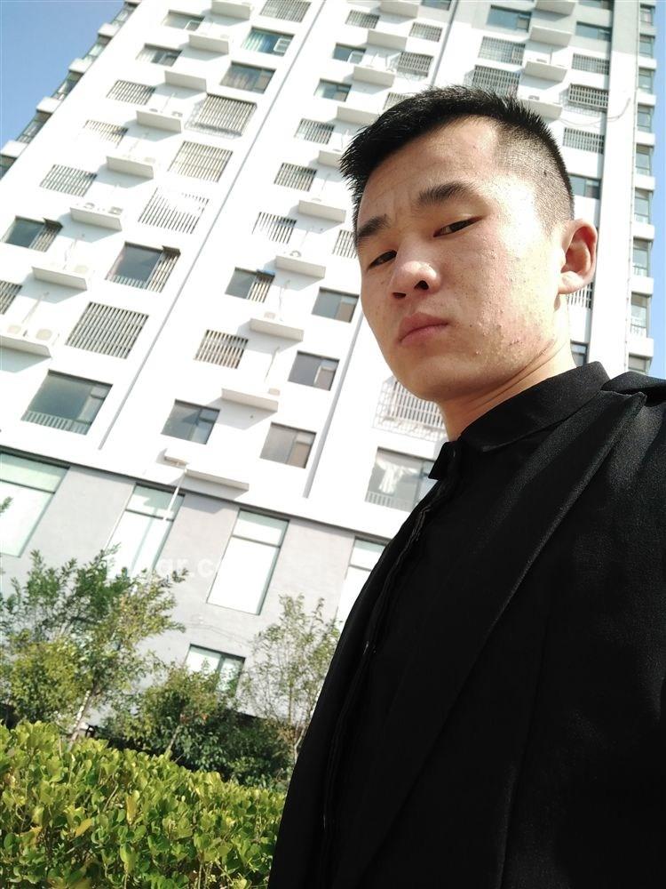 会飞的鱼的头像
