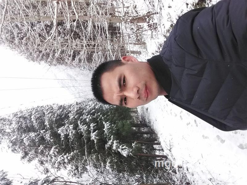 养情人的头像