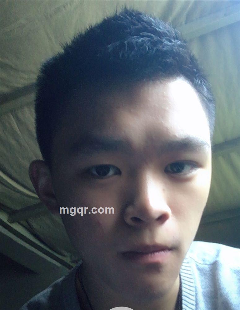 刺刺的狼的头像