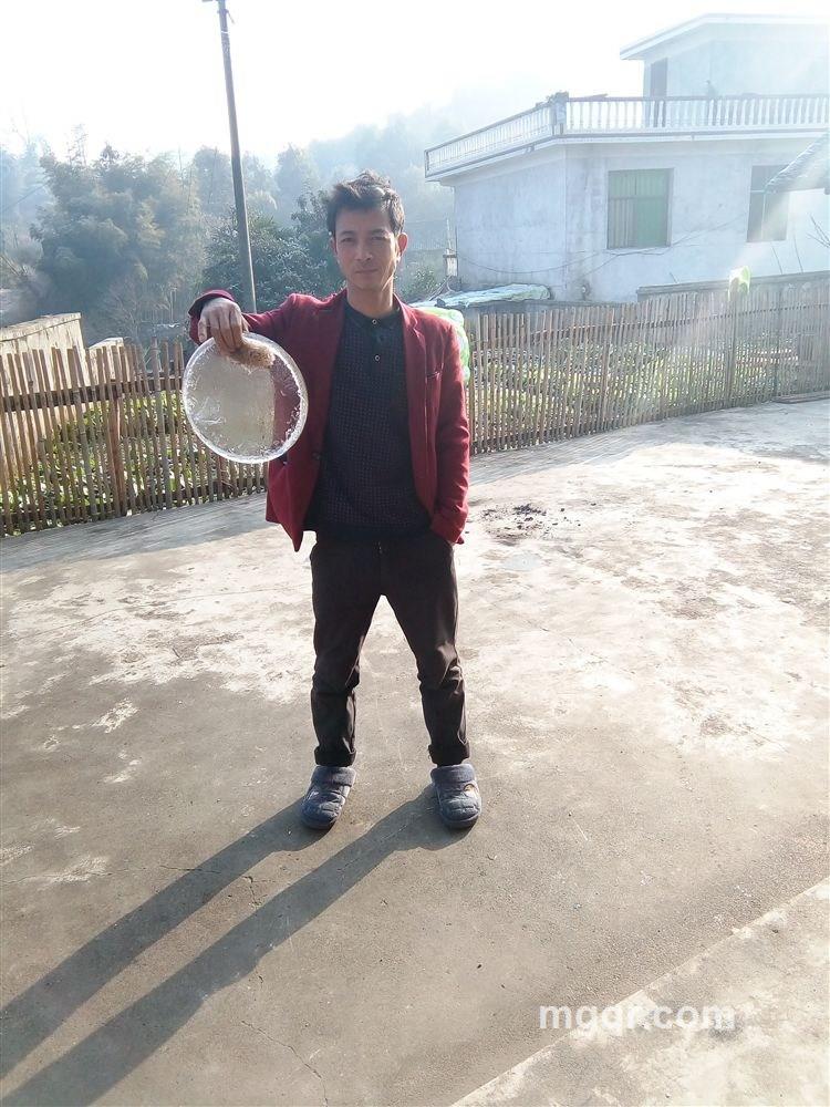 美好未来的头像