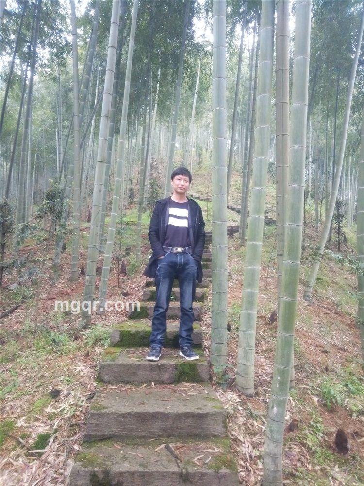 无敌囧囧的头像