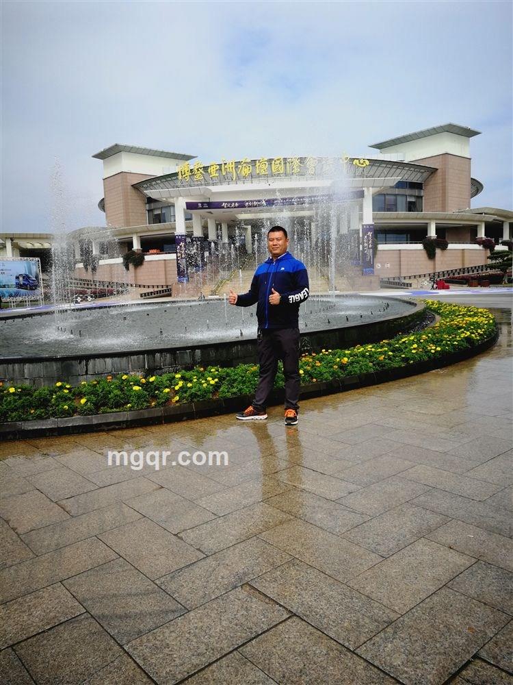 飞翔的小鸟的头像