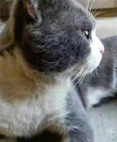 虚情假意太多的头像