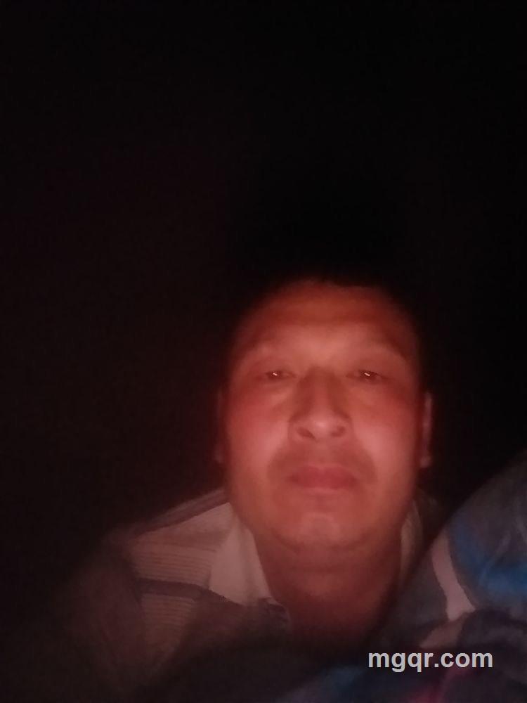 一夜风流的头像