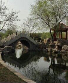 可爱的香蕉的头像