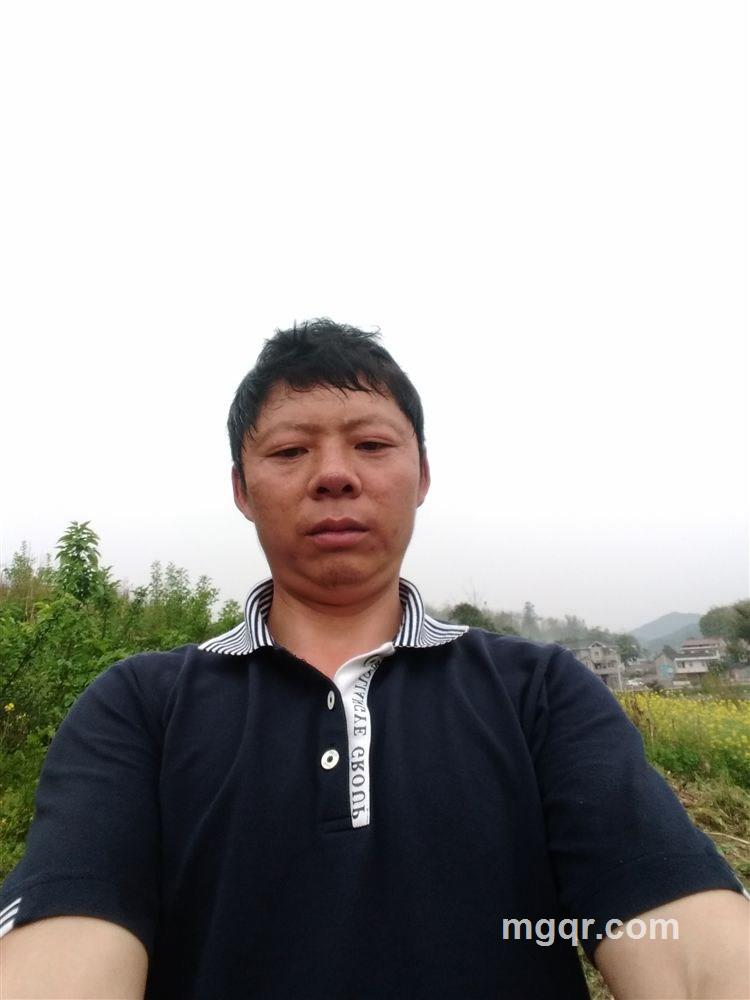 爱在网上的头像