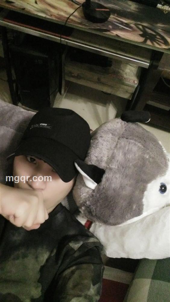 大大的猫的头像