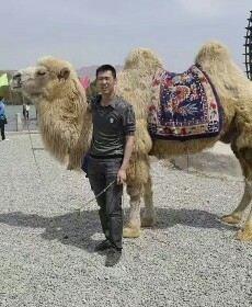 缘起缘灭的头像