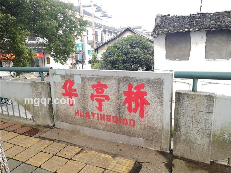 王八千家龟的头像
