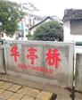 王八千家龟的头像