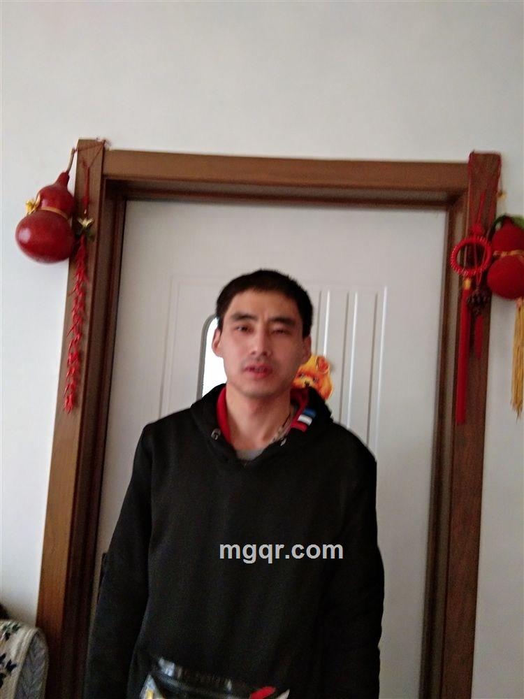 自由的风的头像