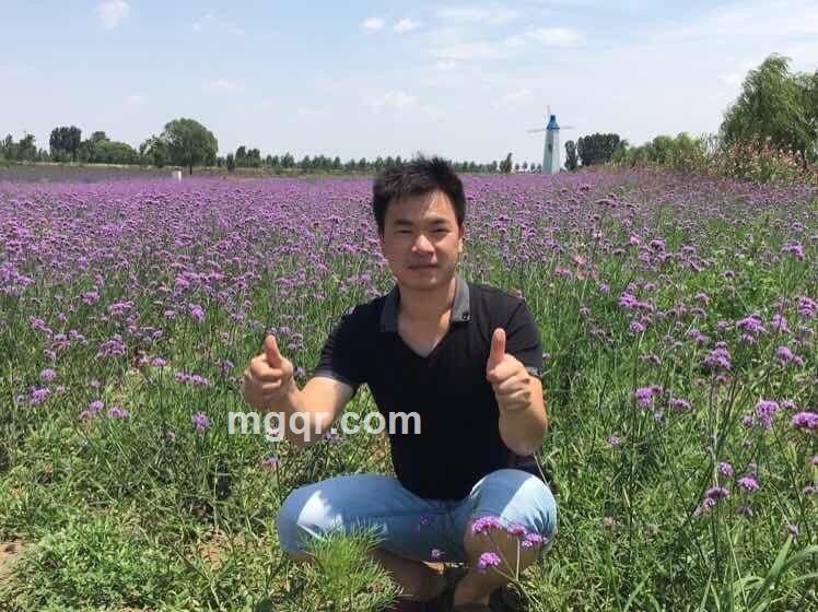 说??你????的头像