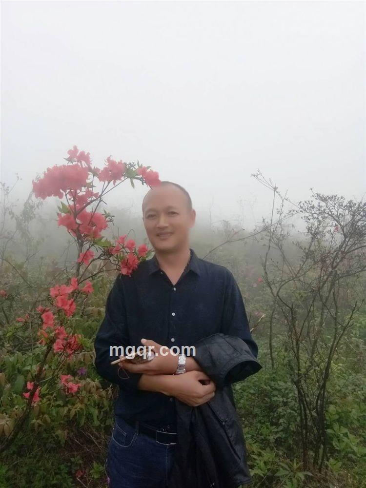 天涯浪子的头像