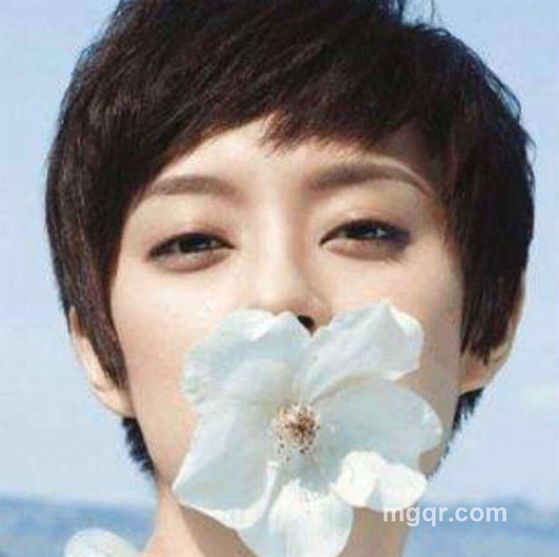 莹莹丫头的头像