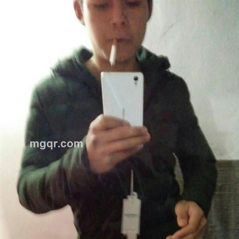 夏安お乔木ざあ的头像