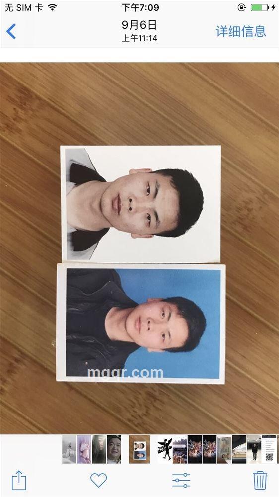 我的佛洛依德的头像